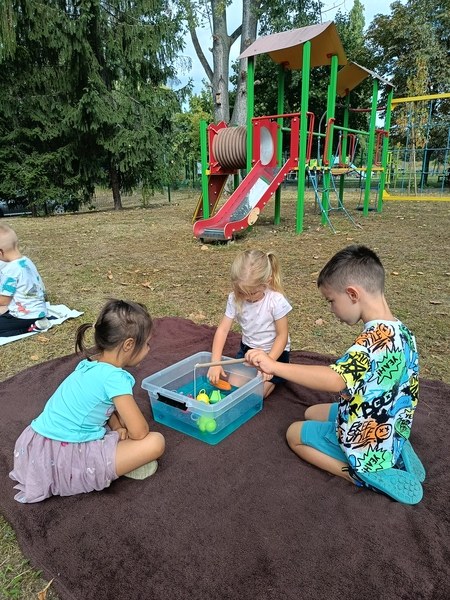 Sówki:Wrzesień 2025 - Zdjęcie 21