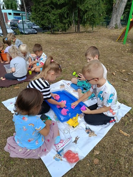 Sówki:Wrzesień 2025 - Zdjęcie 22