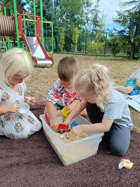 Sówki:Wrzesień 2025 - Zdjęcie 23