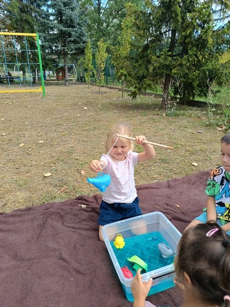 Sówki:Wrzesień 2025 - Zdjęcie 25