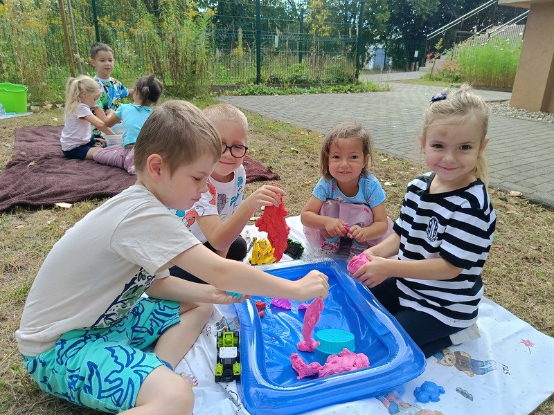 Sówki:Wrzesień 2025 - Zdjęcie 28