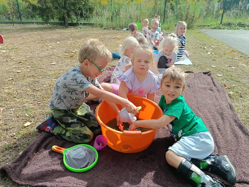 Sówki:Wrzesień 2025 - Zdjęcie 30