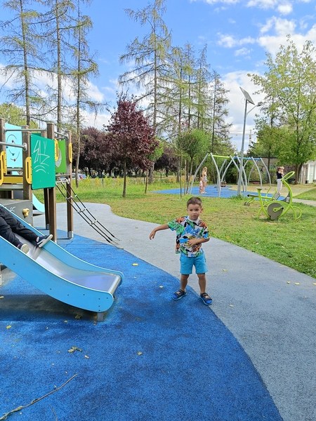 Sówki:Wrzesień 2025 - Zdjęcie 35