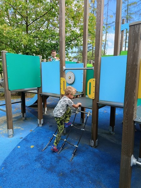 Sówki:Wrzesień 2025 - Zdjęcie 36