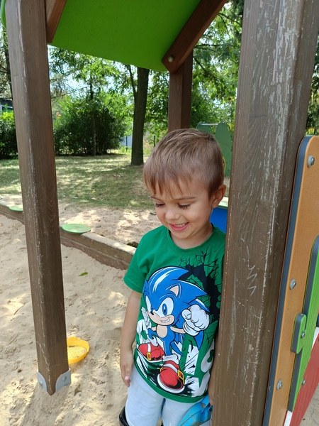 Sówki:Wrzesień 2025 - Zdjęcie 39