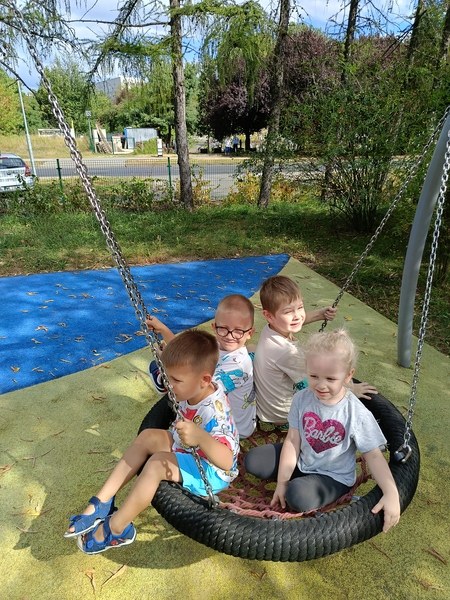 Sówki:Wrzesień 2025 - Zdjęcie 44