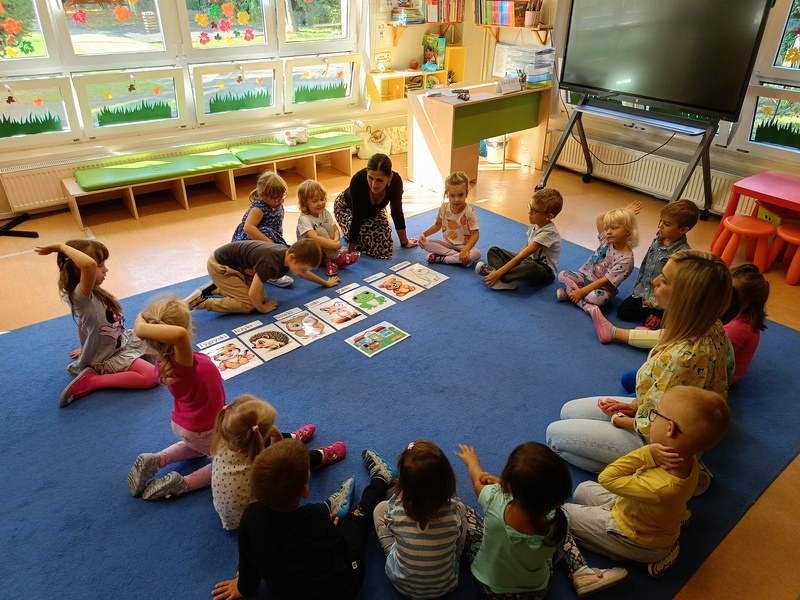 Sówki:Wrzesień 2025 - Zdjęcie 50