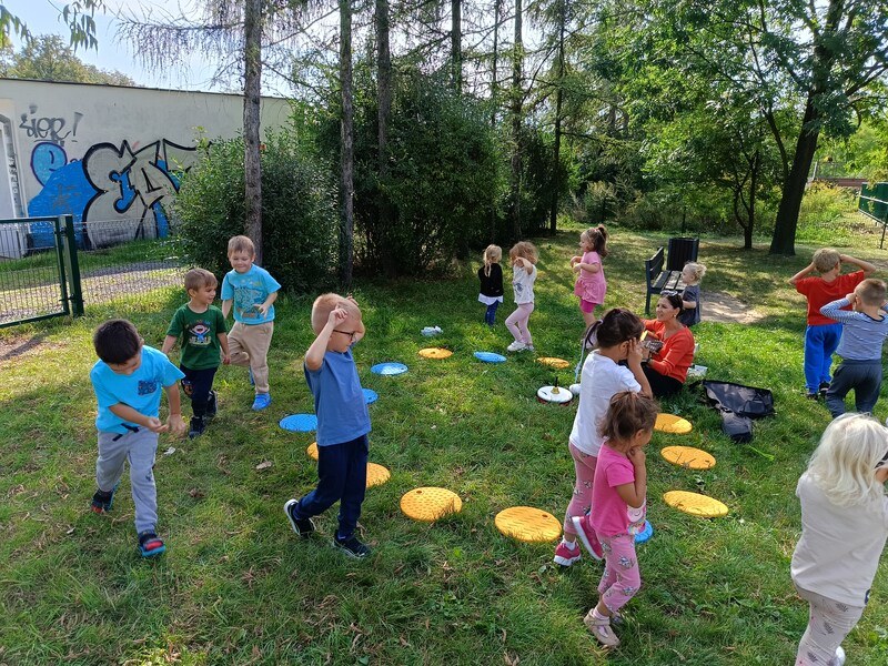 Sówki:Wrzesień 2025 - Zdjęcie 56