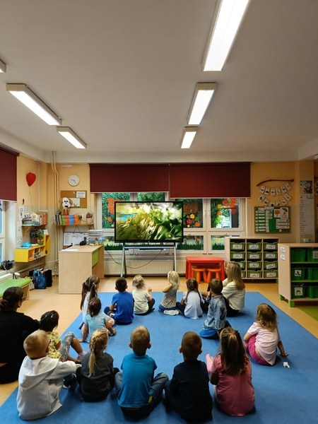 Sówki:Wrzesień 2025 - Zdjęcie 63