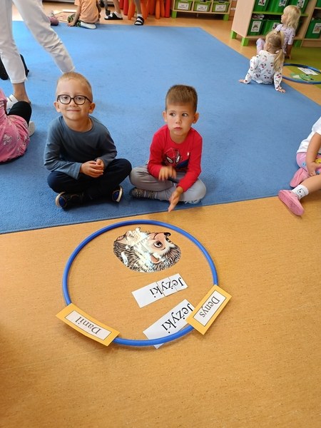 Sówki:Wrzesień 2025 - Zdjęcie 64