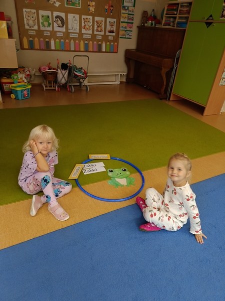 Sówki:Wrzesień 2025 - Zdjęcie 65