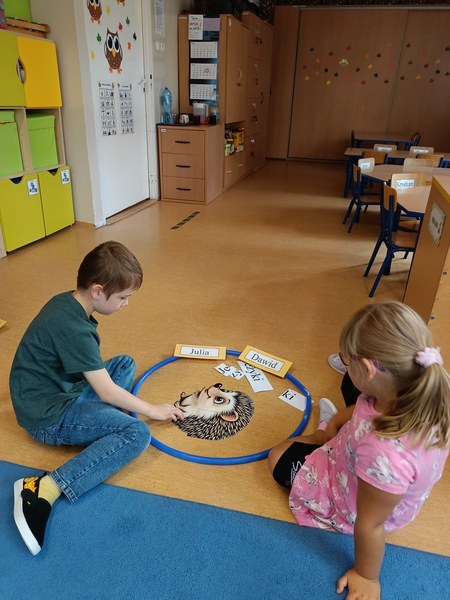 Sówki:Wrzesień 2025 - Zdjęcie 66