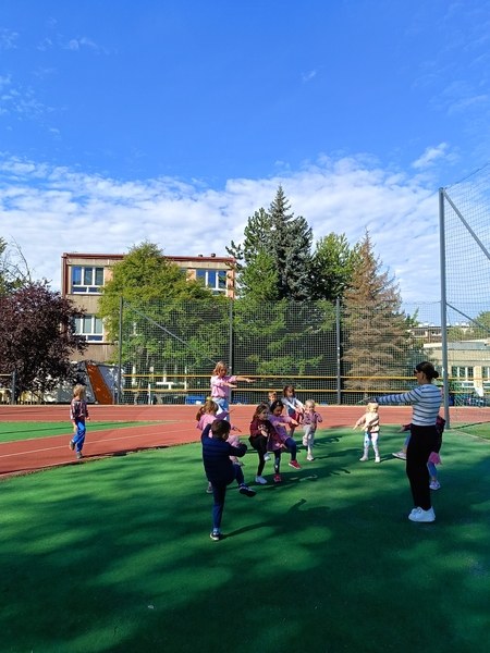 Sówki:Wrzesień 2025 - Zdjęcie 85