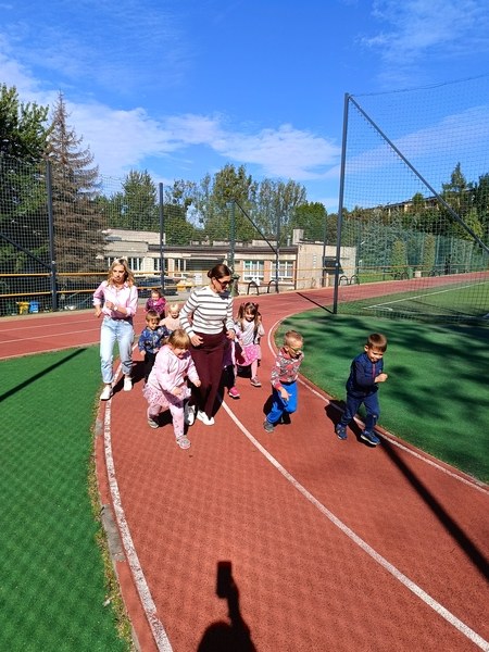 Sówki:Wrzesień 2025 - Zdjęcie 86