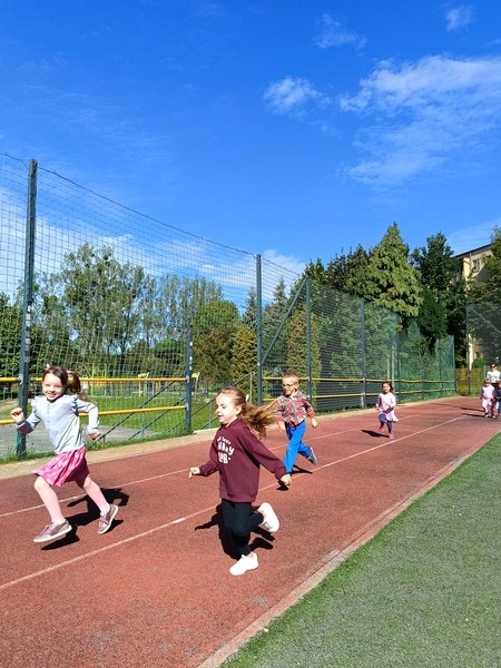 Sówki:Wrzesień 2025 - Zdjęcie 89