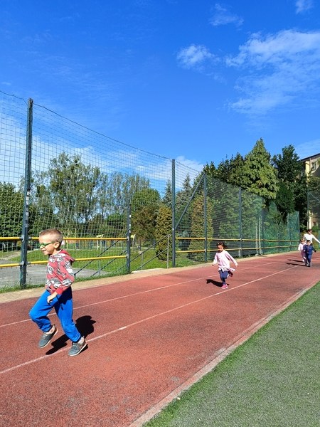 Sówki:Wrzesień 2025 - Zdjęcie 90