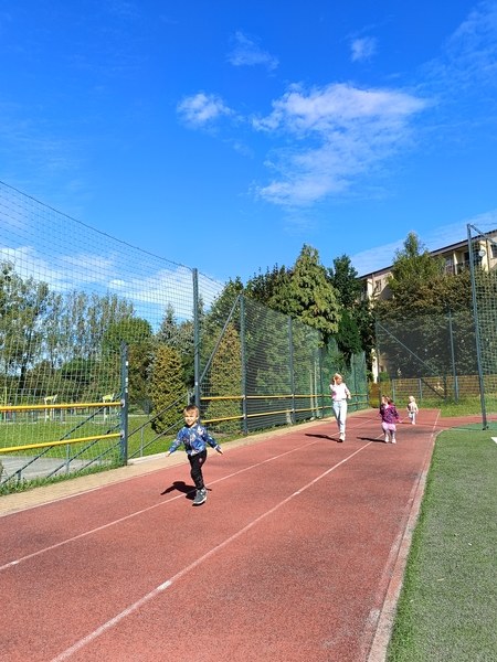 Sówki:Wrzesień 2025 - Zdjęcie 92