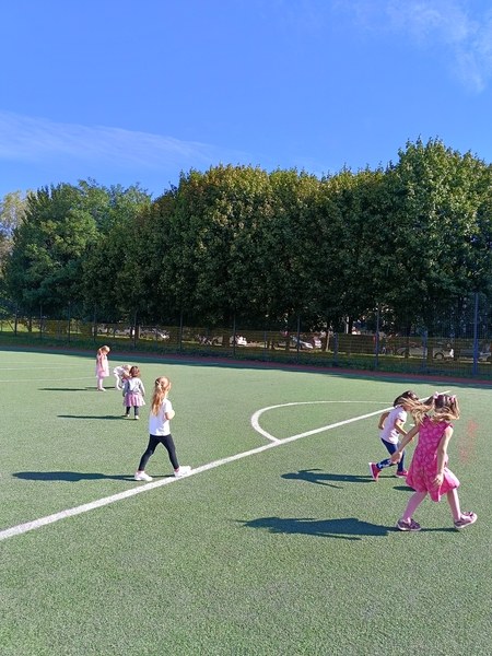 Sówki:Wrzesień 2025 - Zdjęcie 94