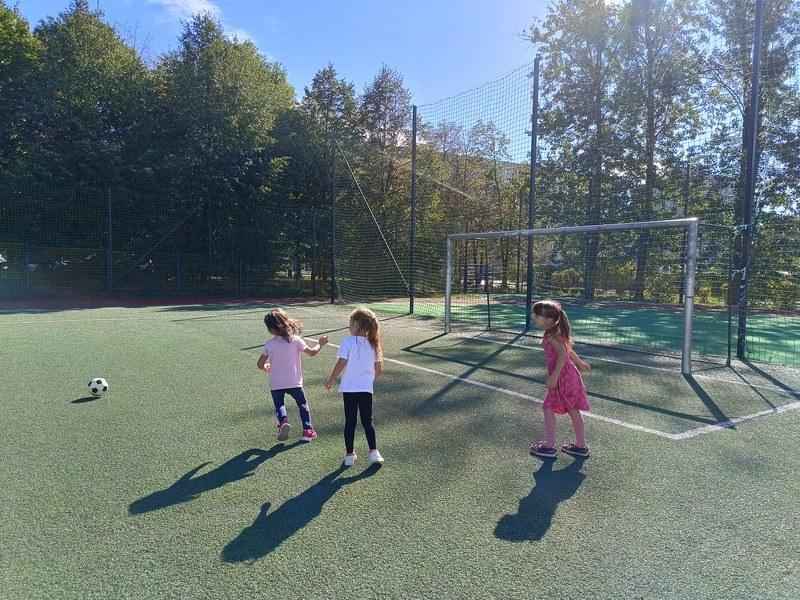 Sówki:Wrzesień 2025 - Zdjęcie 95