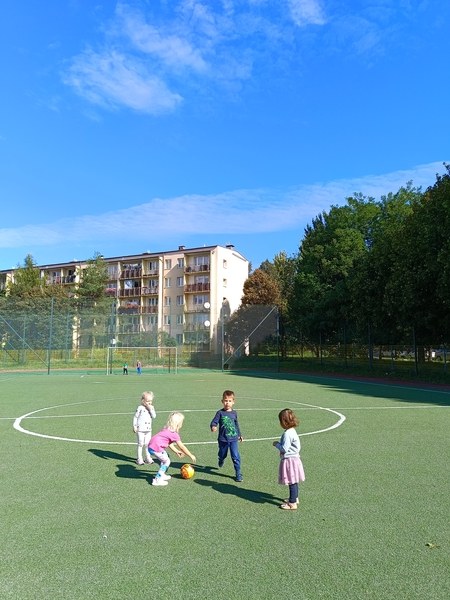 Sówki:Wrzesień 2025 - Zdjęcie 96