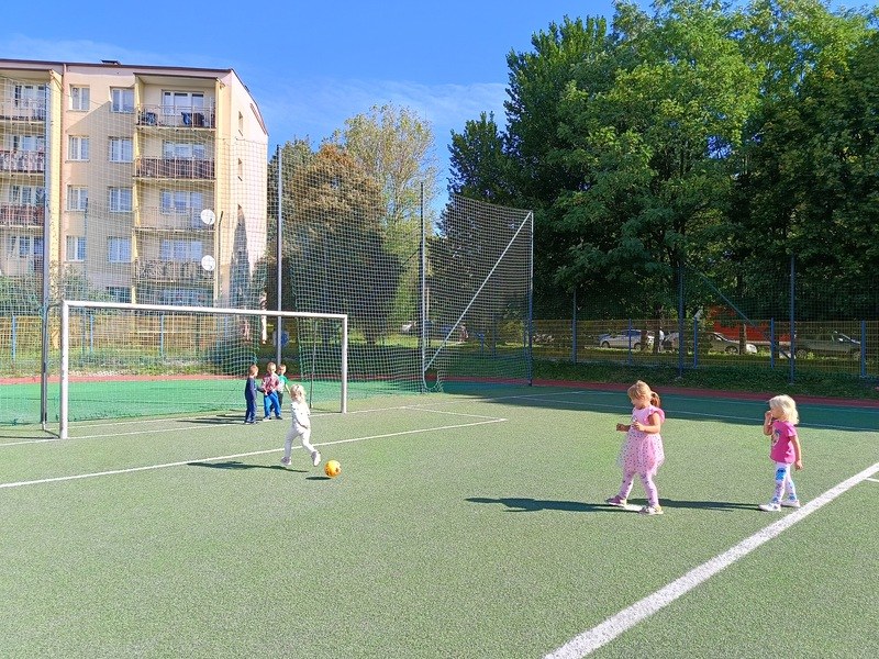 Sówki:Wrzesień 2025 - Zdjęcie 97