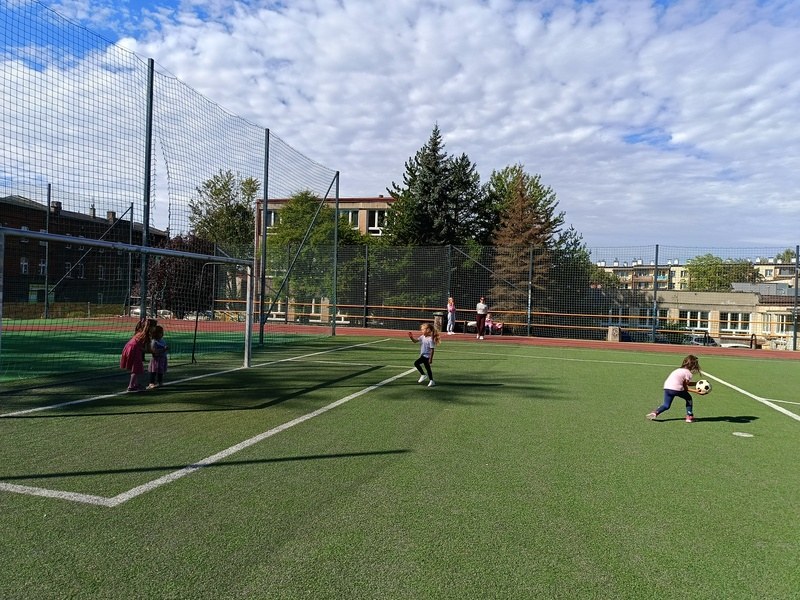 Sówki:Wrzesień 2025 - Zdjęcie 99