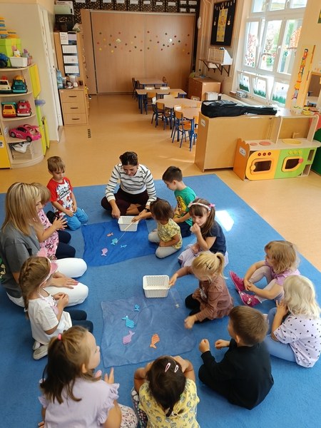 Sówki:Wrzesień 2025 - Zdjęcie 104