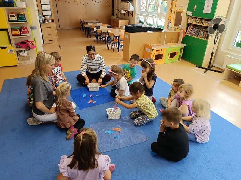 Sówki:Wrzesień 2025 - Zdjęcie 105