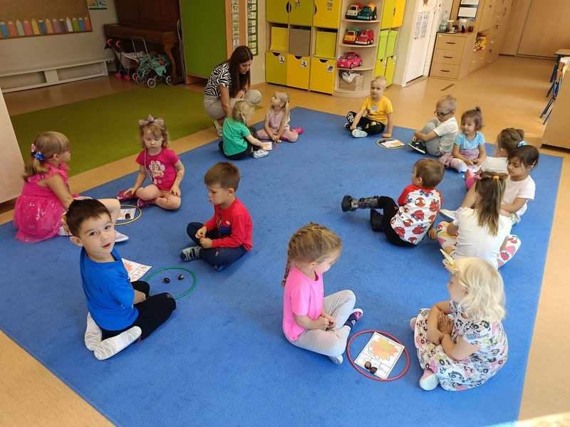 Sówki:Wrzesień 2025 - Zdjęcie 111