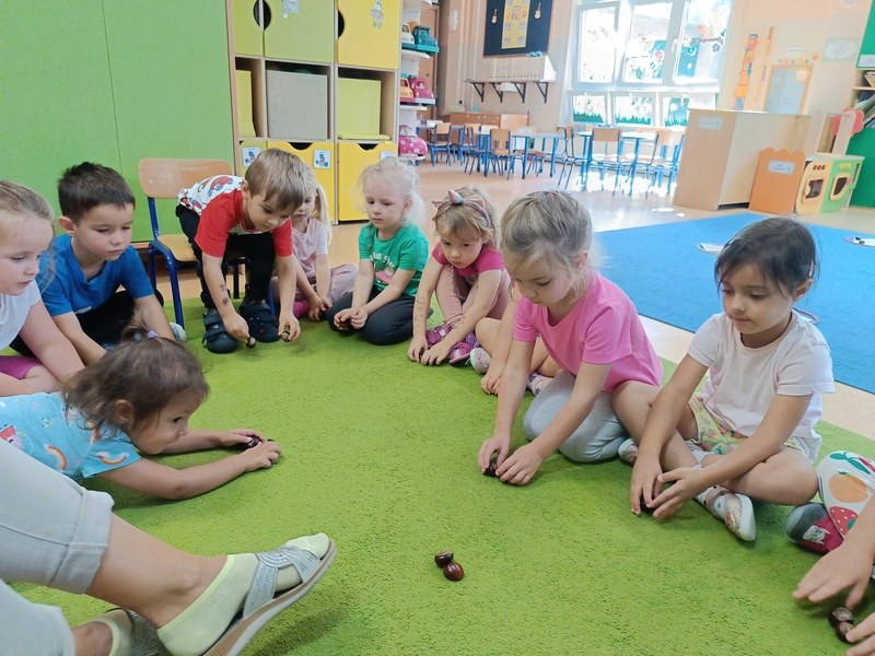 Sówki:Wrzesień 2025 - Zdjęcie 113