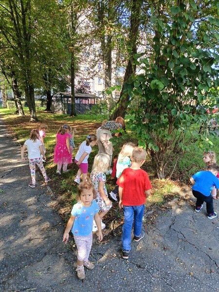 Sówki:Wrzesień 2025 - Zdjęcie 114