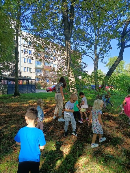 Sówki:Wrzesień 2025 - Zdjęcie 115