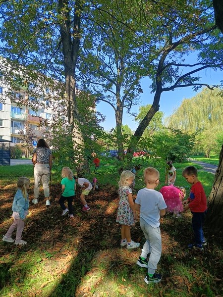 Sówki:Wrzesień 2025 - Zdjęcie 116