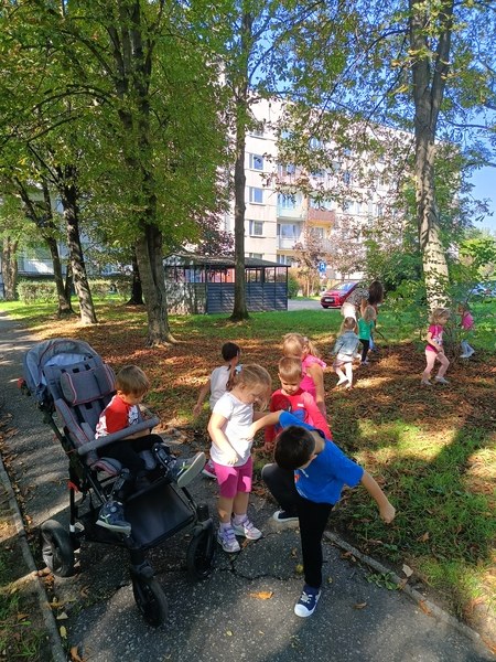 Sówki:Wrzesień 2025 - Zdjęcie 117