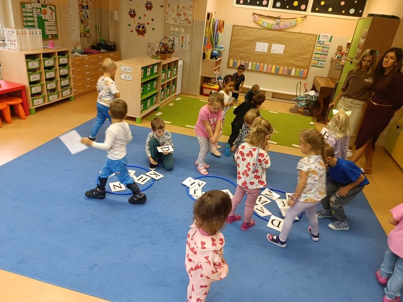 Sówki:Wrzesień 2025 - Zdjęcie 118