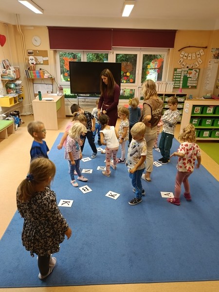 Sówki:Wrzesień 2025 - Zdjęcie 120