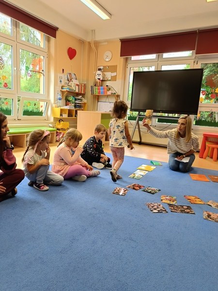 Sówki:Wrzesień 2025 - Zdjęcie 152