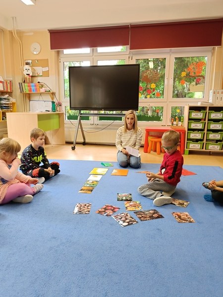 Sówki:Wrzesień 2025 - Zdjęcie 153