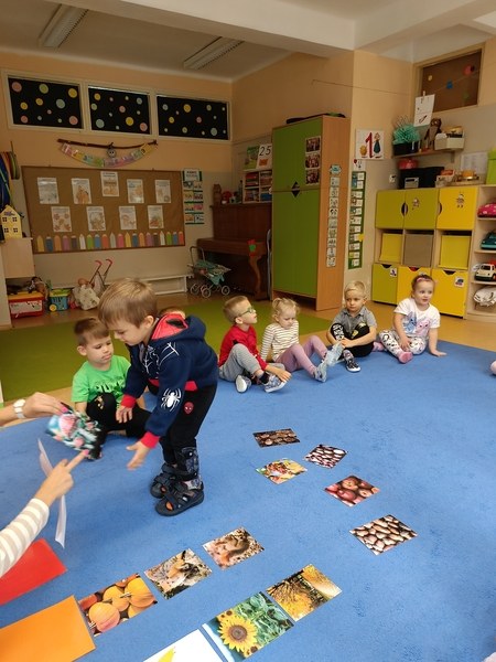 Sówki:Wrzesień 2025 - Zdjęcie 155