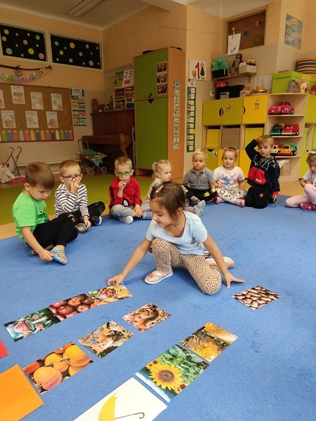 Sówki:Wrzesień 2025 - Zdjęcie 156