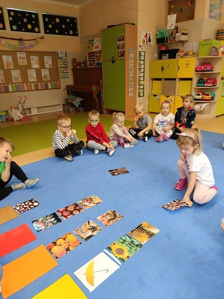 Sówki:Wrzesień 2025 - Zdjęcie 157