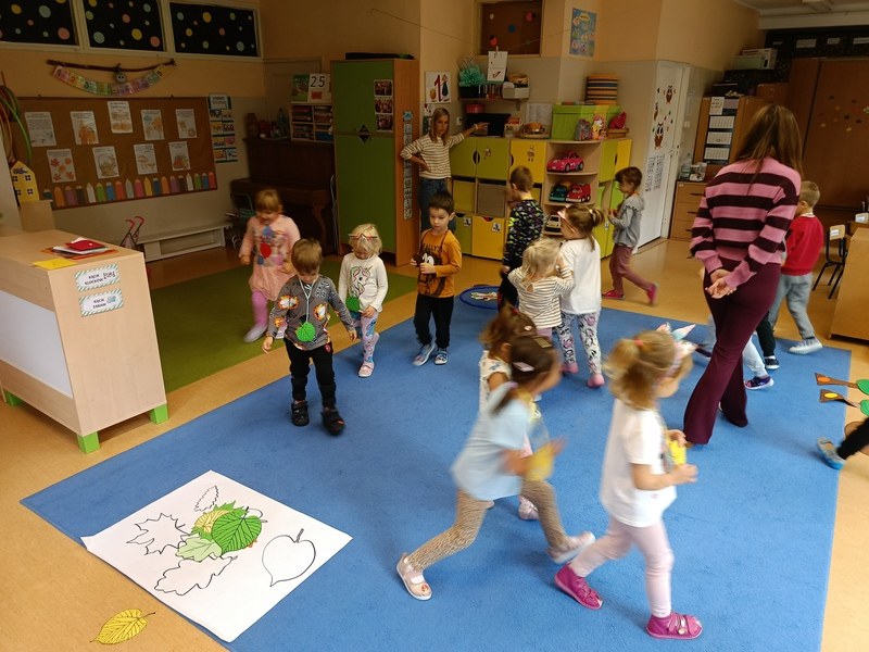 Sówki:Wrzesień 2025 - Zdjęcie 158