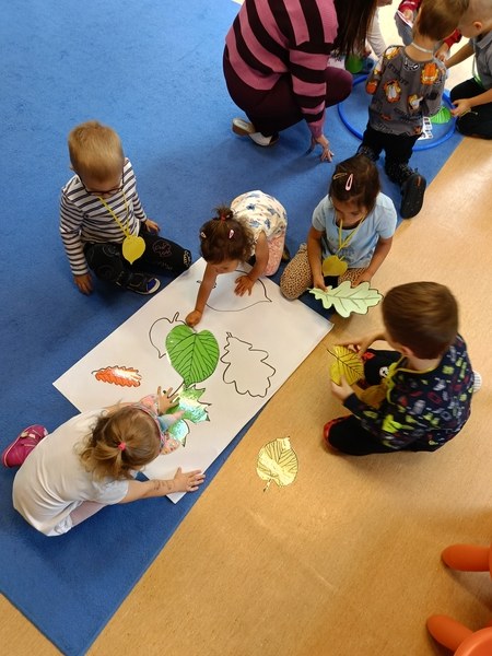 Sówki:Wrzesień 2025 - Zdjęcie 161