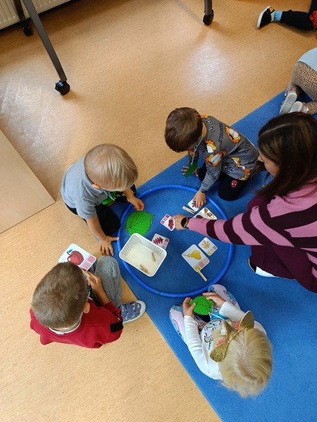 Sówki:Wrzesień 2025 - Zdjęcie 164