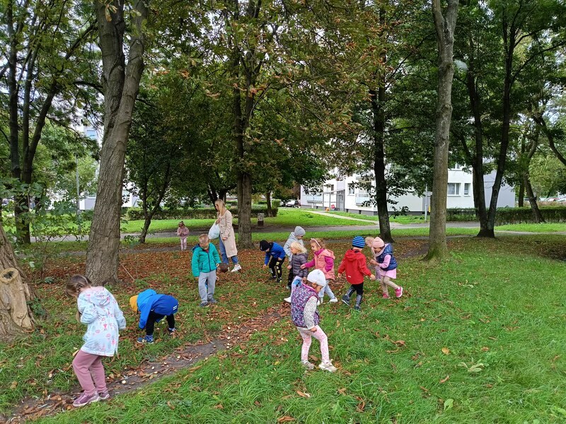 Sówki:Wrzesień 2025 - Zdjęcie 165