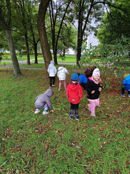 Sówki:Wrzesień 2025 - Zdjęcie 168