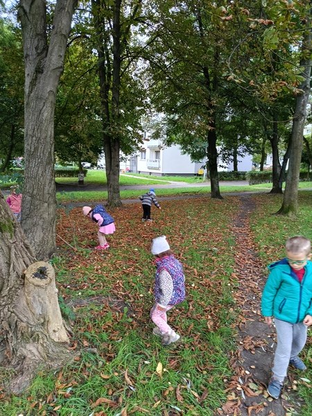 Sówki:Wrzesień 2025 - Zdjęcie 169