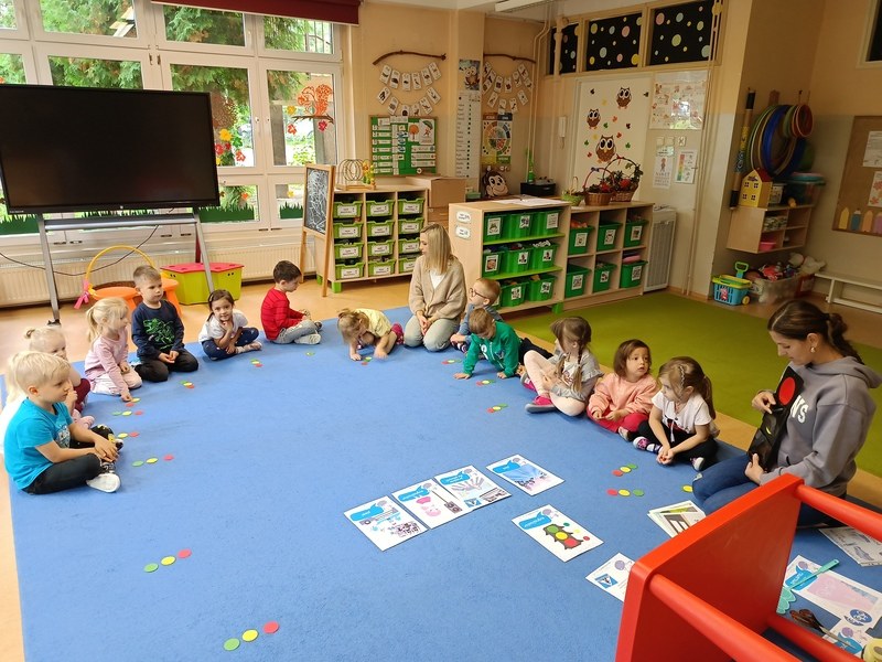 Sówki:Wrzesień 2025 - Zdjęcie 178