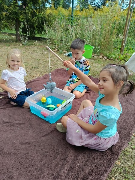 Sówki:Wrzesień 2025 - Zdjęcie 187