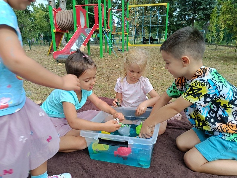 Sówki:Wrzesień 2025 - Zdjęcie 188